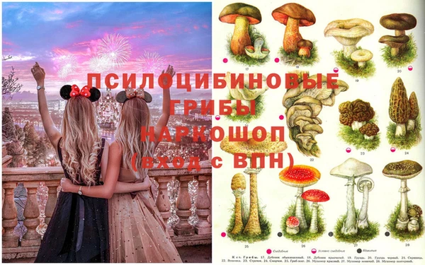 стаф Верхний Тагил