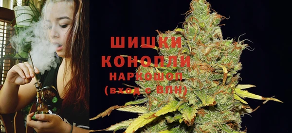 стаф Верхний Тагил