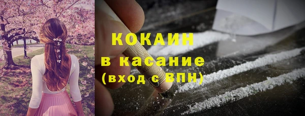 гидра Верея