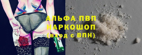 гидра Верея